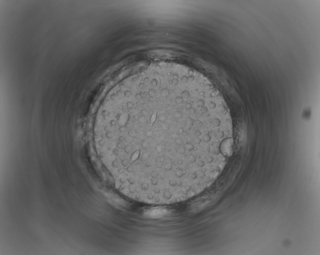 X0000116790759201001291518