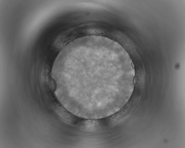 X0000116790762201001291518