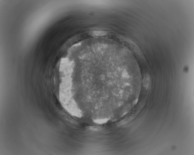 X0000116790763201001291518