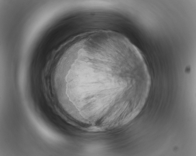 X0000116790765201001291518
