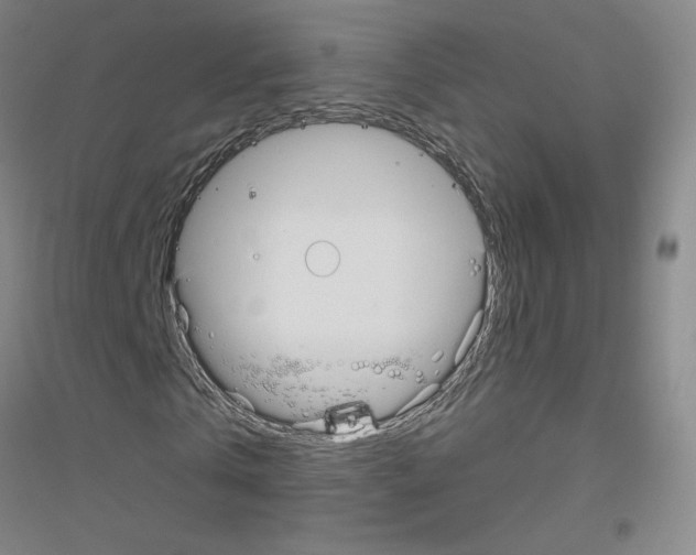 X0000116790769201001291518
