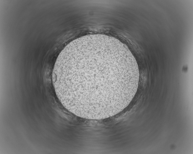 X0000116790770201001291518