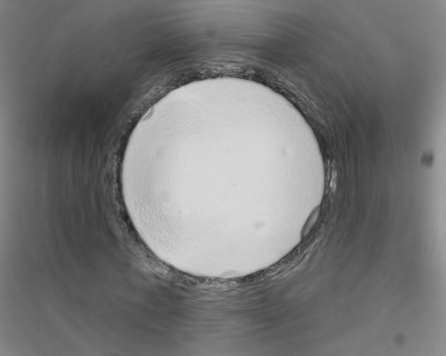 X0000116790771201001291518