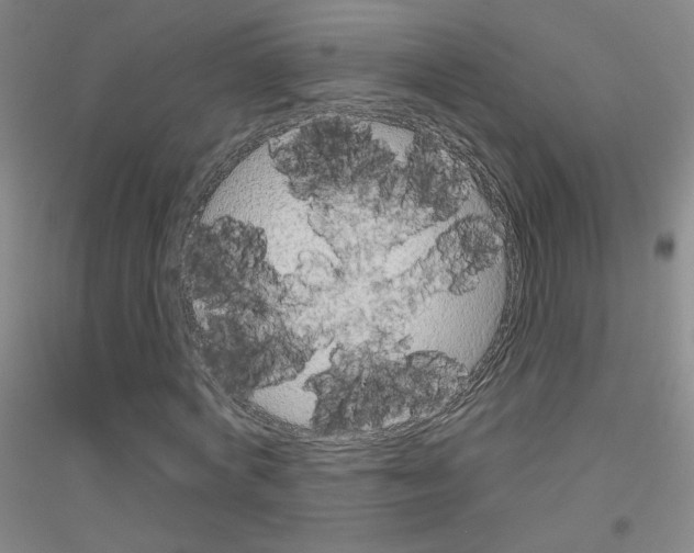 X0000116790772201001291518