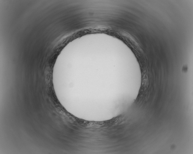 X0000116790773201001291518