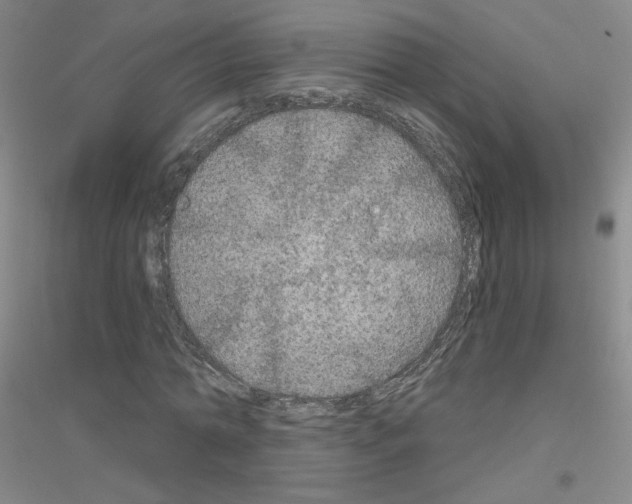 X0000116790774201001291518