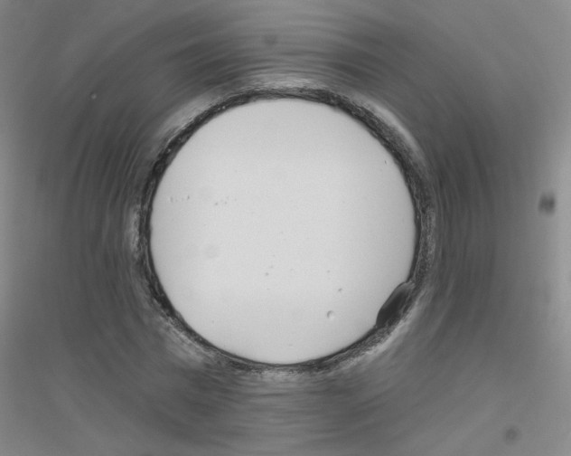 X0000116790777201001291518