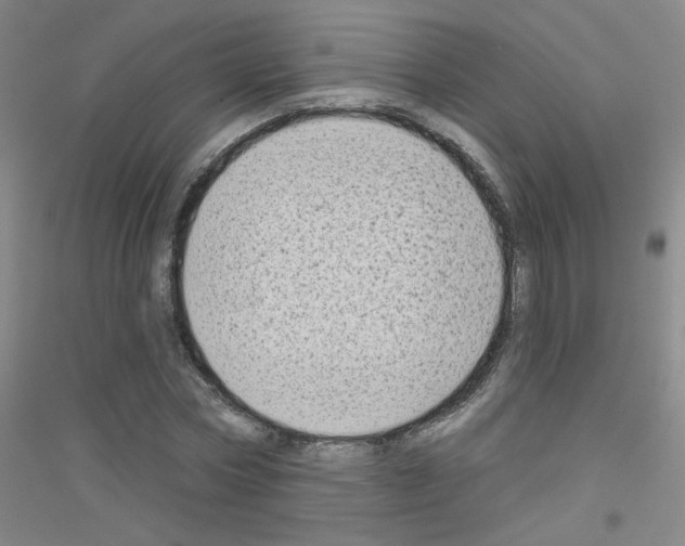 X0000116790778201001291518