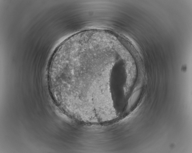 X0000116790779201001291518
