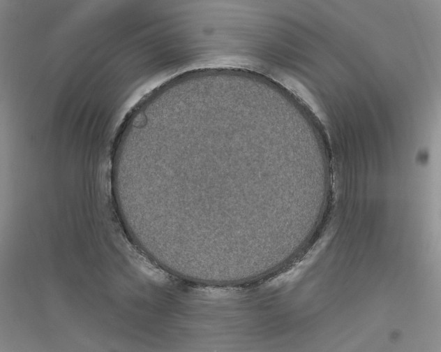 X0000116790781201001291518