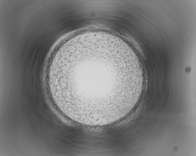 X0000116790784201001291518