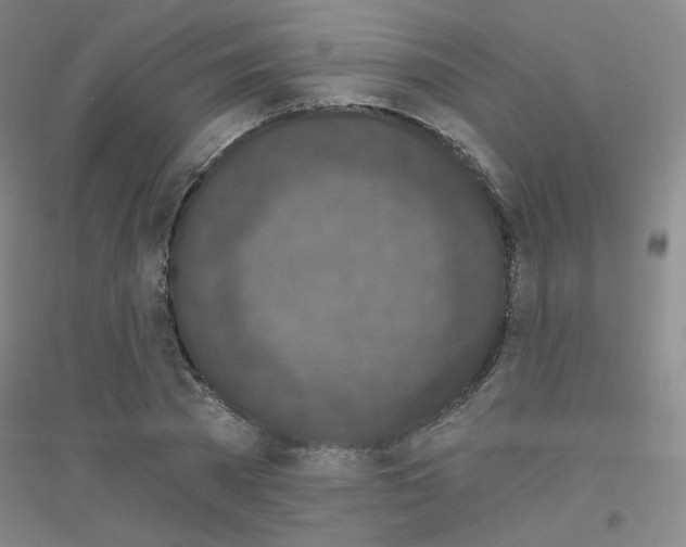 X0000116790785201001291518