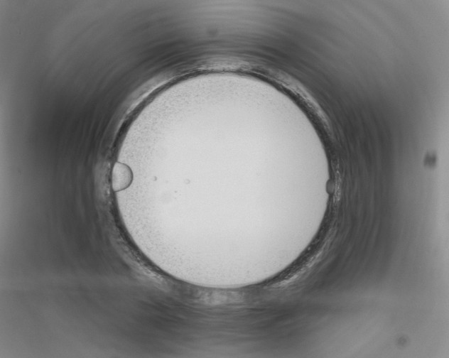X0000116790786201001291518