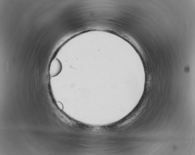 X0000116790787201001291518