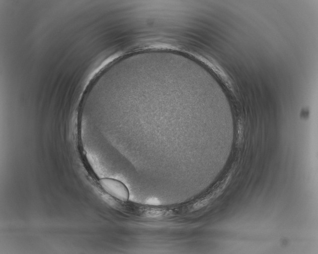 X0000116790790201001291518