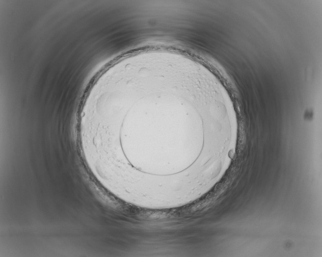 X0000116790791201001291518
