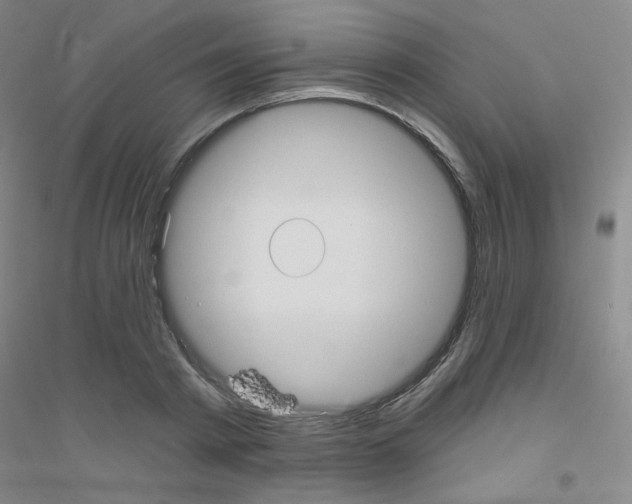 X0000116790793201001291518