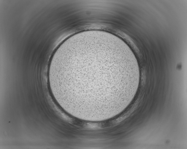X0000116790794201001291518