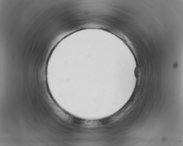 X0000116790795201001291517