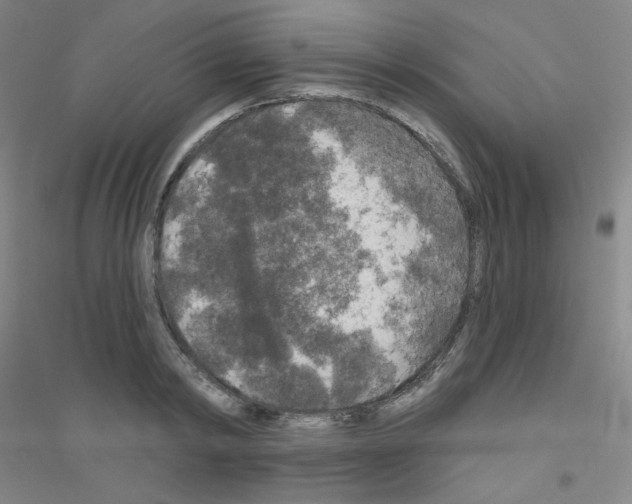 X0000116790798201001291517
