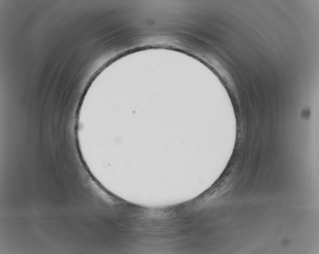 X0000116790799201001291517
