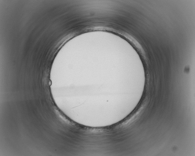 X0000116790801201001291517