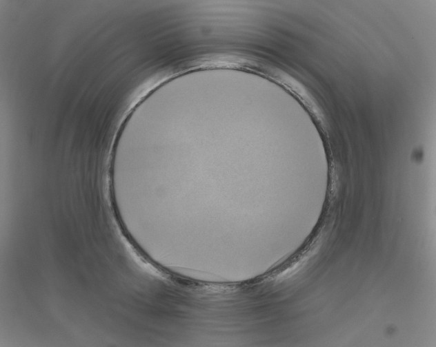 X0000116790802201001291517