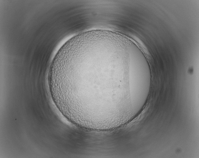 X0000116790804201001291517