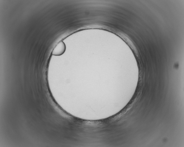 X0000116790805201001291517