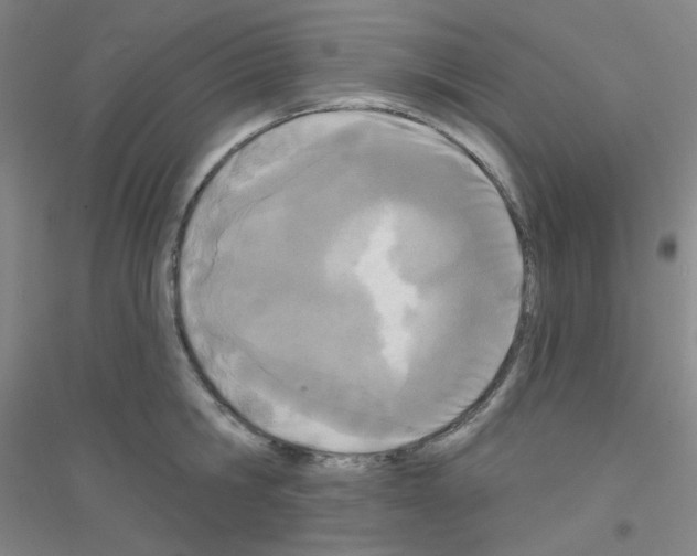 X0000116790806201001291517