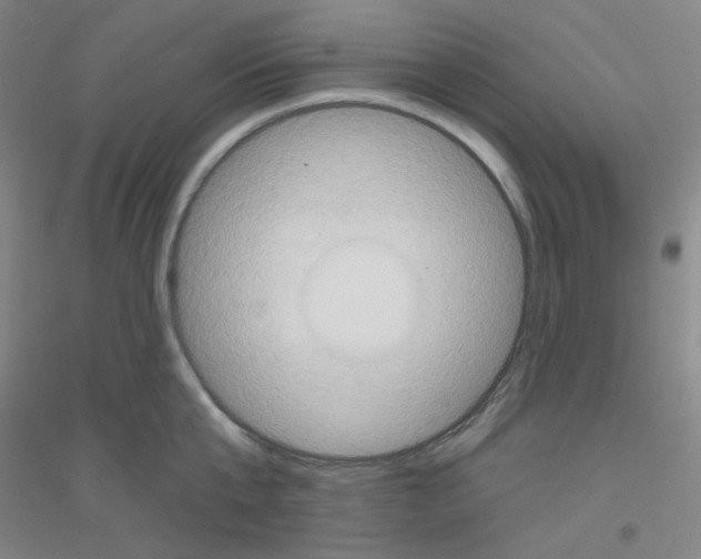 X0000116790807201001291517