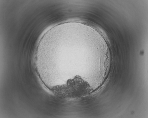X0000116790808201001291517