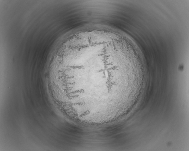 X0000116790810201001291517