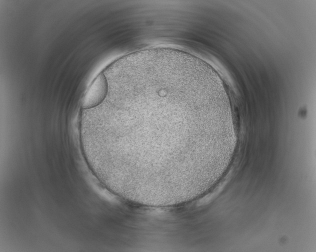 X0000116790814201001291517