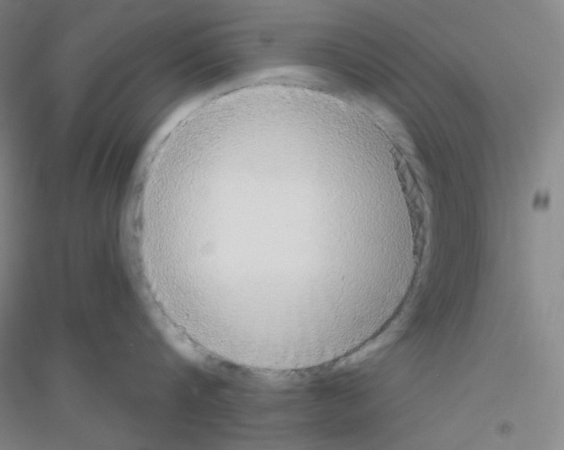 X0000116790816201001291517