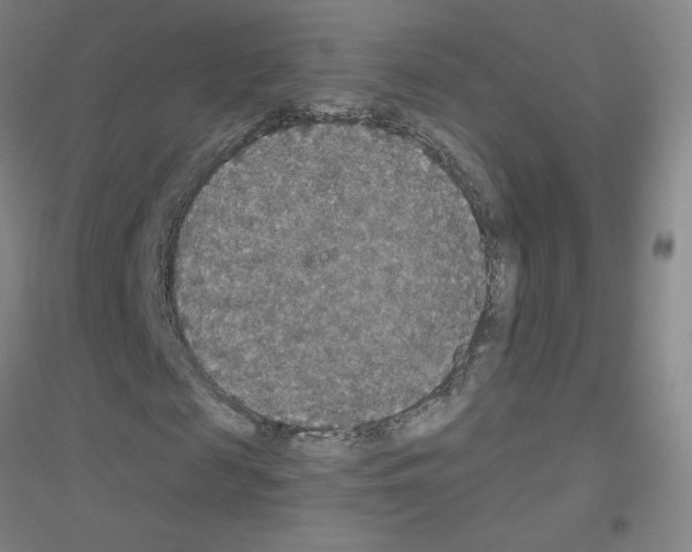 X0000116790817201001291517