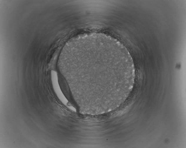 X0000116790818201001291517