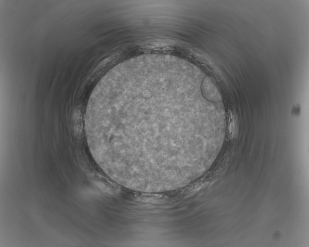 X0000116790819201001291517