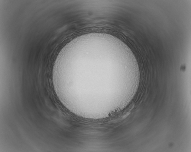 X0000116790820201001291517