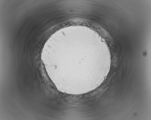 X0000116790821201001291517