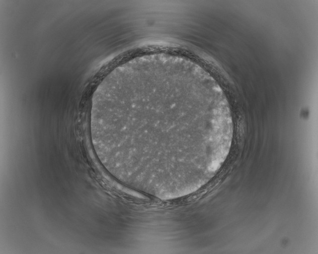 X0000116790822201001291517