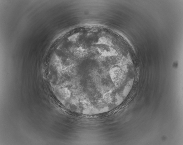 X0000116790823201001291517