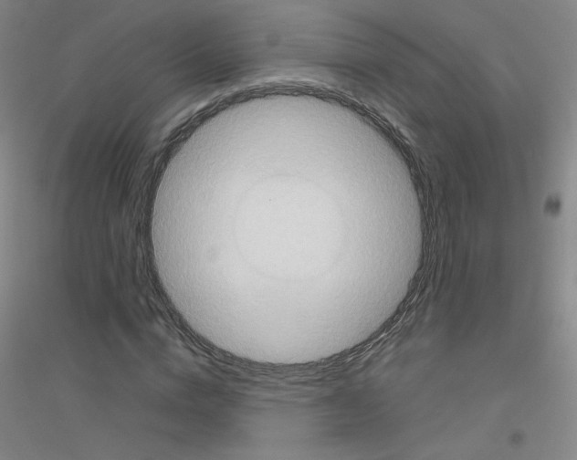 X0000116790824201001291517