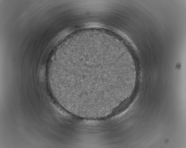 X0000116790825201001291517