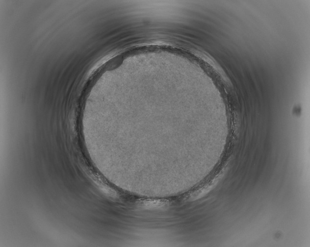 X0000116790826201001291517
