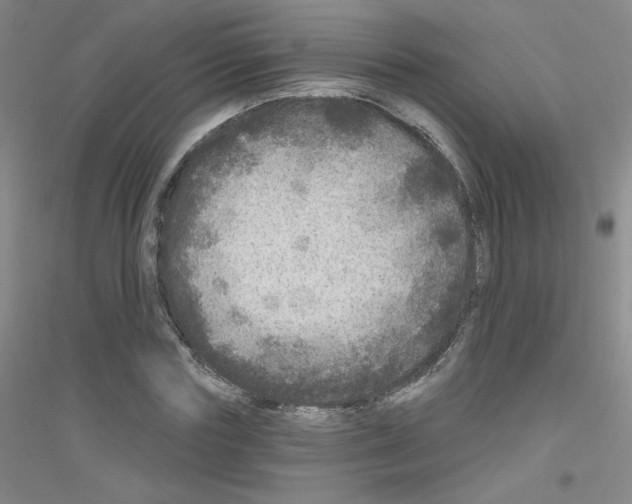 X0000116790827201001291517