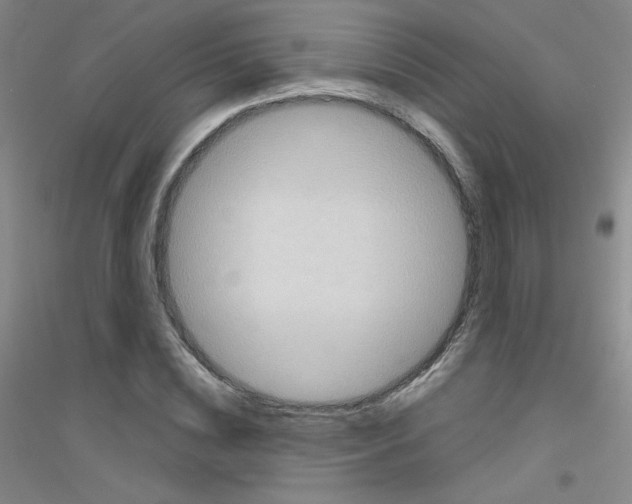 X0000116790828201001291517