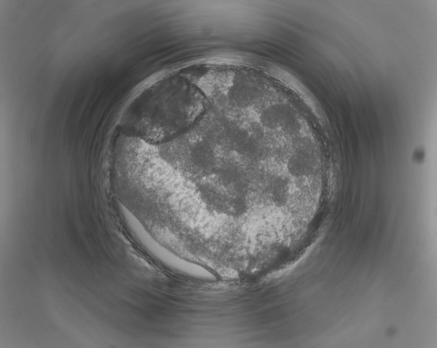 X0000116790829201001291517