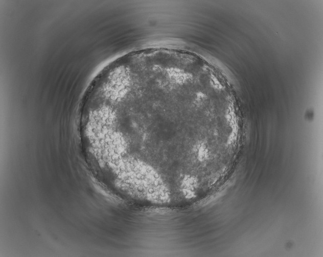 X0000116790830201001291517
