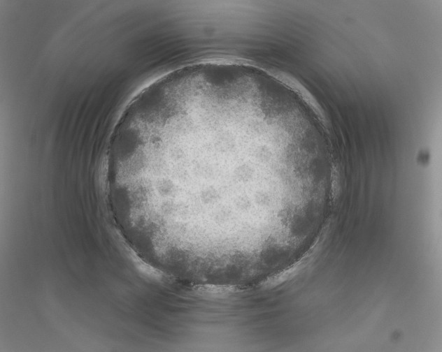 X0000116790831201001291517